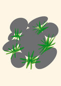 Stone Thistle